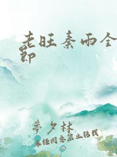 老旺秦雨全部章节