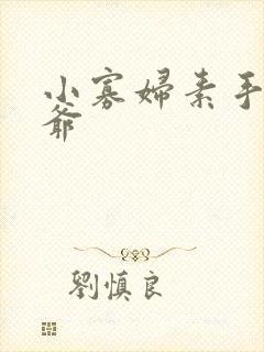 小寡妇素手擒四爷