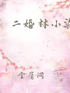 二婚 林小染