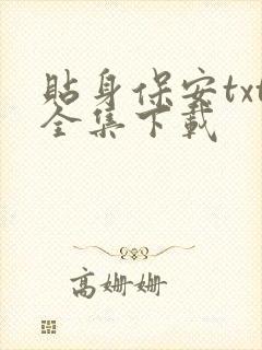 贴身保安txt全集下载