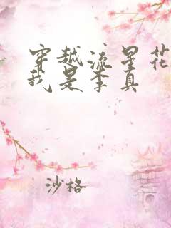 穿越流星花园之我是李真