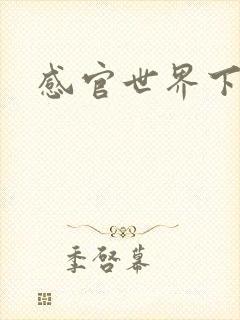 感官世界下载