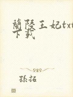 兰陵王妃txt下载