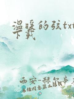 温暖的弦txt下载