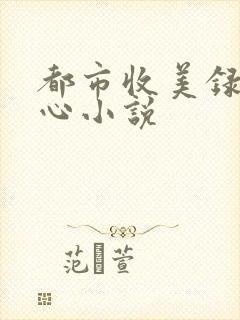 都市收美录宁素心小说
