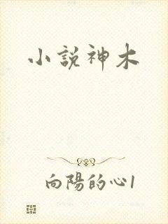 小说神木
