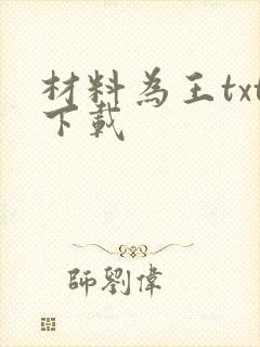 材料为王txt下载