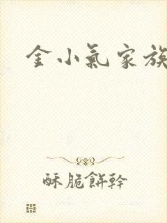 金小气家族小说
