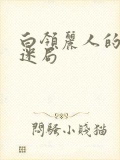 白领丽人的危情迷局