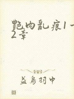 艳肉乱痕1一12章