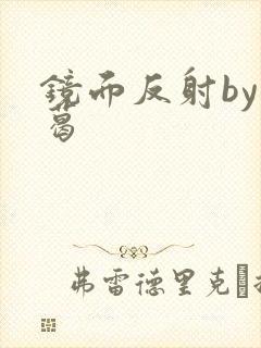 镜面反射by九葛