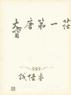 大唐第一庄无弹窗