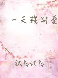 一天强制爱
