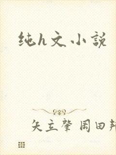 纯h文小说