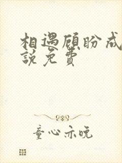 相遇顾盼成欢小说免费