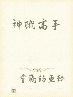 神职高手