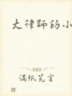 大律师的小老婆