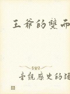 王爷的双面王妃