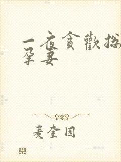 一夜贪欢总裁幸孕妻