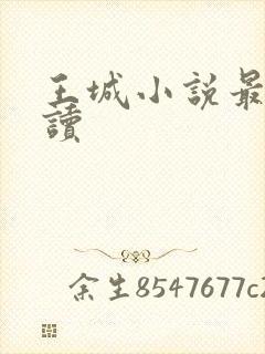 王城小说最近阅读