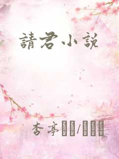 请君小说