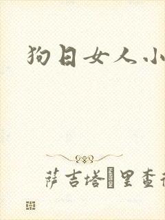 狗日女人小说