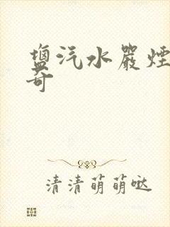 盐汽水严烟薛子奇