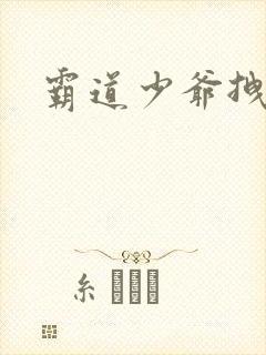 霸道少爷拽上我