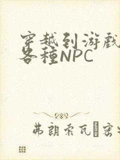 穿越到游戏里和各种NPC