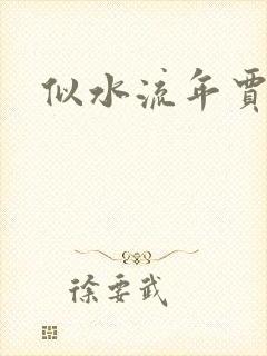 似水流年贾二虎