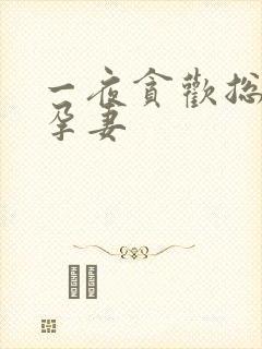 一夜贪欢总裁幸孕妻