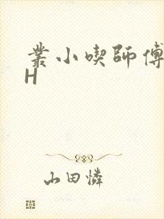 丛小吃师傅的HH
