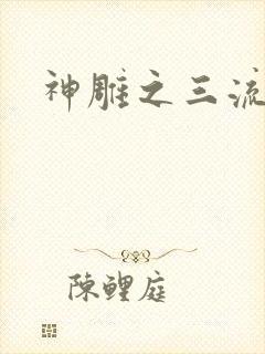 神雕之三流