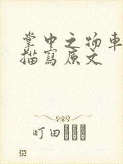 掌中之物车里震描写原文