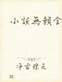 小说无赖金仙
