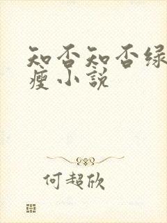 知否知否绿肥红瘦小说