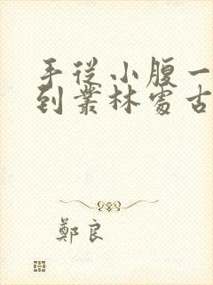 手从小腹一路开到丛林处古代