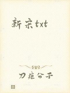 新宋txt