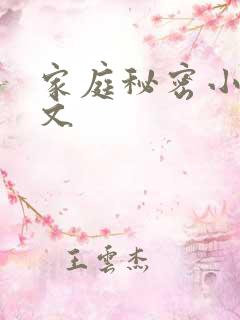 家庭秘密小说全文