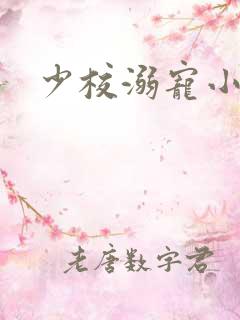 少校溺宠小小妻