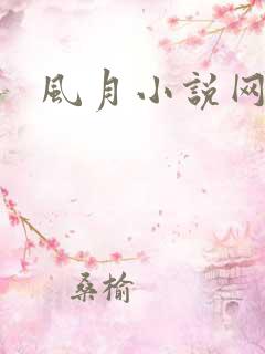 风月小说网