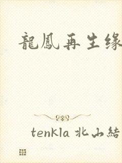 龙凤再生缘