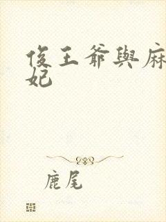 俊王爷与麻辣王妃