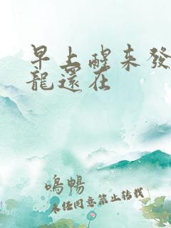 早上醒来发现巨龙还在