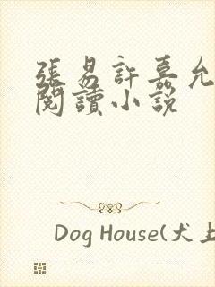 张易许嘉允免费阅读小说