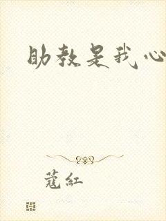 助教是我心尖宠