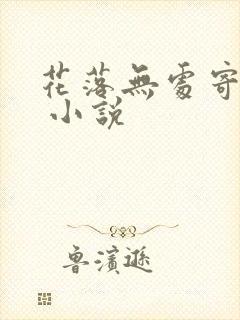 花落无处寄相思 小说