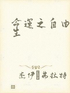 命运之自由的新生