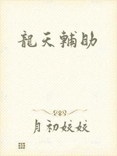 龙天辅助
