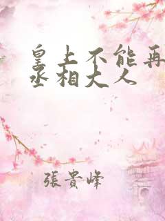 皇上不能再进了丞相大人